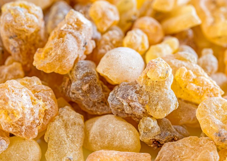 Frankincense Essential Oil