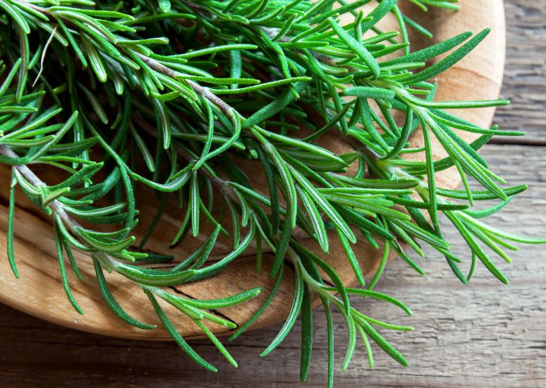 Rosemary Essnetial Oil