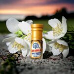 Jasmine Essential Oil