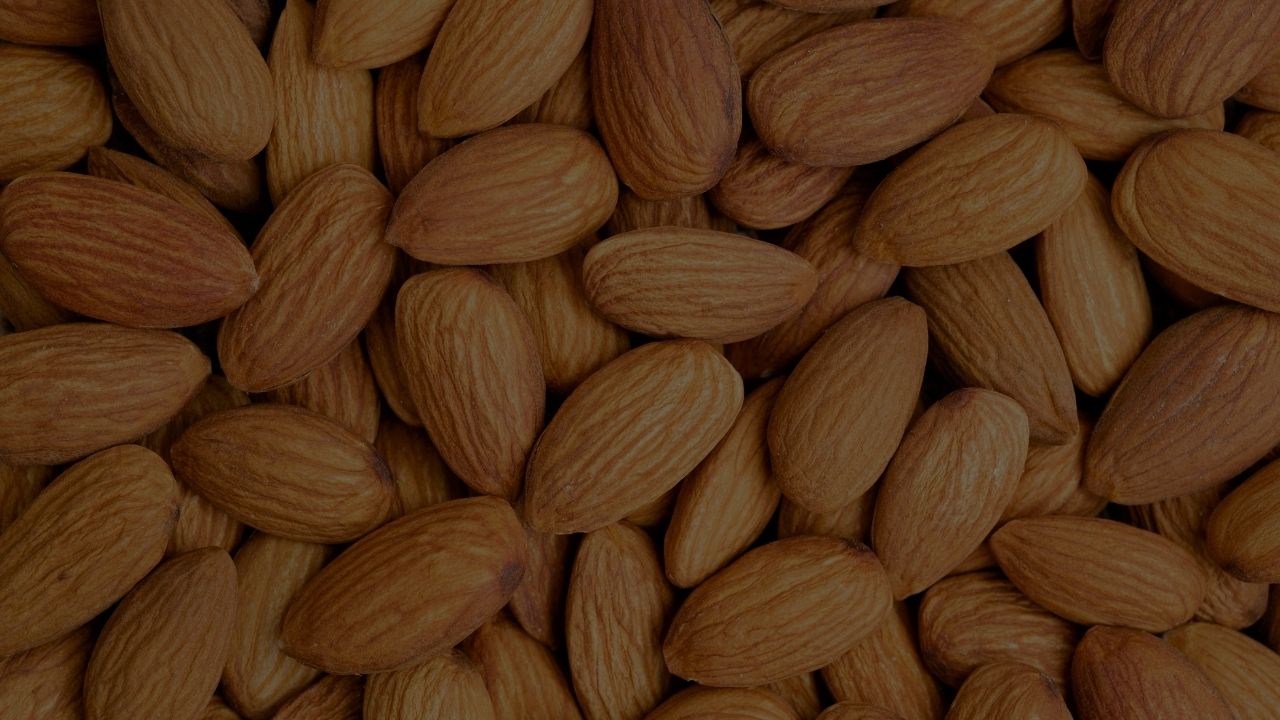 Almond Fragrance Attar & Perfume