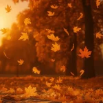 Autumn